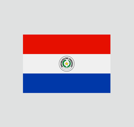 Nationalflagge Paraguay