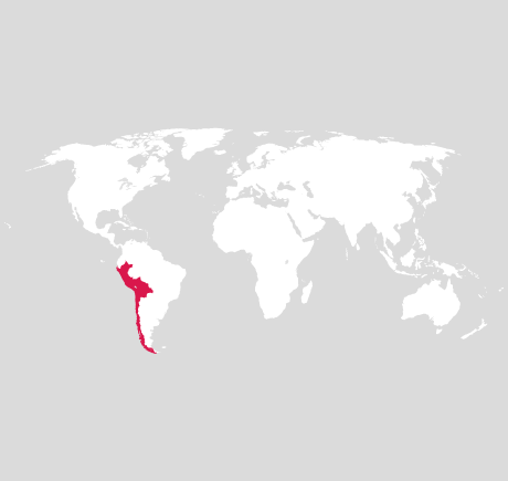 Region Südamerika - Pazifik